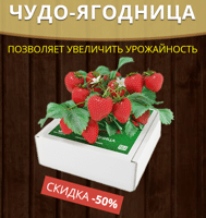 Купить клубнику сказочная ягодница
