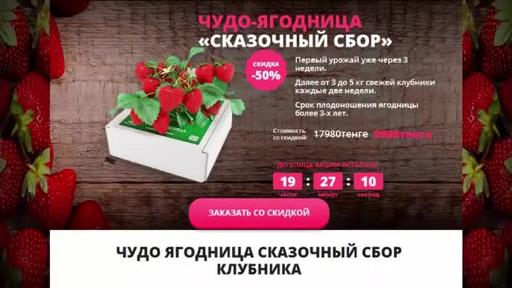 Где купить в Москве ягодницу клубники